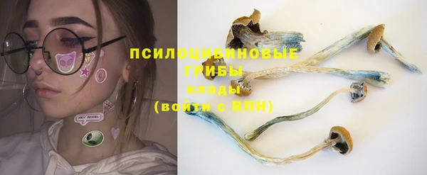герыч Алзамай