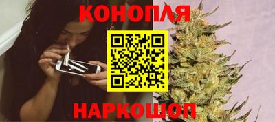 прущие грибы Донецк