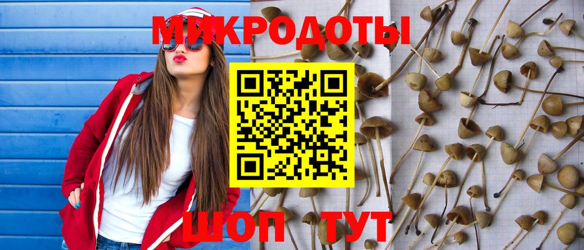 Псилоцибиновые грибы MAGIC MUSHROOMS  Галлюциногенные грибы Magic Shrooms  Ливны  Вход с VPN 
