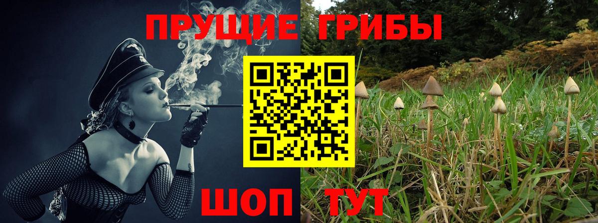 Галлюциногенные грибы MAGIC MUSHROOMS Ливны